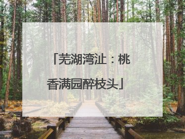 芜湖湾沚：桃香满园醉枝头