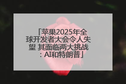 苹果2025年全球开发者大会令人失望 其面临两大挑战：AI和特朗普