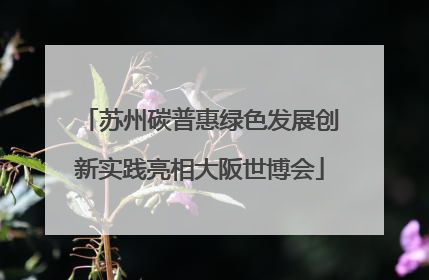 苏州碳普惠绿色发展创新实践亮相大阪世博会