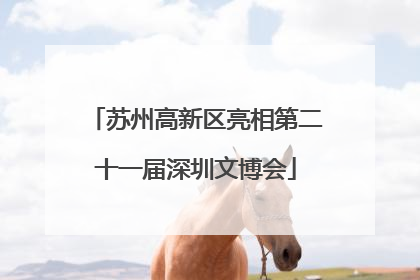 苏州高新区亮相第二十一届深圳文博会