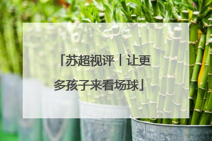 苏超视评︱让更多孩子来看场球