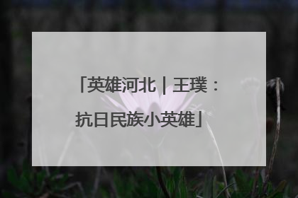 英雄河北｜王璞：抗日民族小英雄