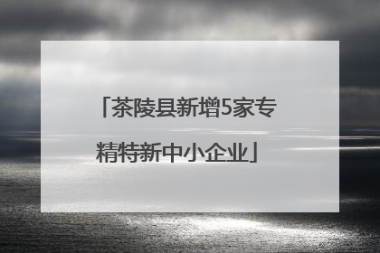 茶陵县新增5家专精特新中小企业