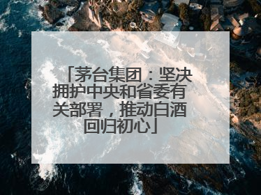 茅台集团：坚决拥护中央和省委有关部署，推动白酒回归初心