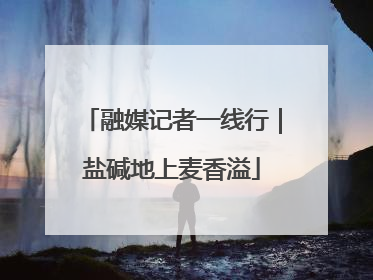 融媒记者一线行｜盐碱地上麦香溢