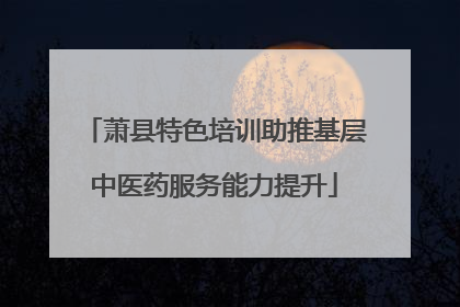 萧县特色培训助推基层中医药服务能力提升