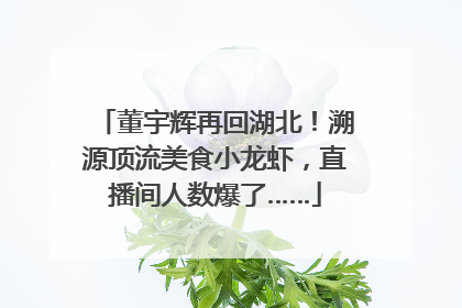 董宇辉再回湖北！溯源顶流美食小龙虾，直播间人数爆了……