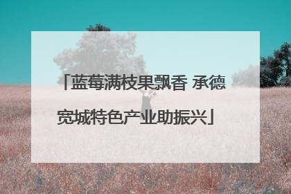 蓝莓满枝果飘香 承德宽城特色产业助振兴