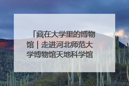藏在大学里的博物馆｜走进河北师范大学博物馆天地科学馆：在校园里赴一场“宇宙之约”