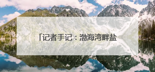记者手记：渤海湾畔盐碱滩变身“新粮仓”