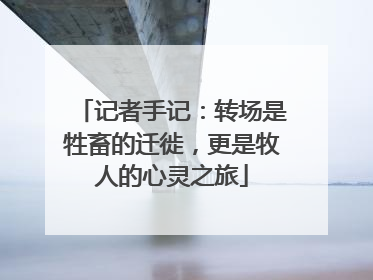 记者手记：转场是牲畜的迁徙，更是牧人的心灵之旅