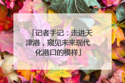 记者手记：走进天津港，窥见未来现代化港口的模样