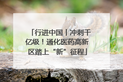 行进中国丨冲刺千亿级！通化医药高新区踏上“新”征程
