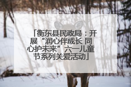 衡东县民政局：开展“润心伴成长 同心护未来”六一儿童节系列关爱活动