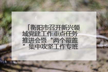 衡阳市召开新兴领域党建工作重点任务推进会暨“两个覆盖”集中攻坚工作专班 第一次会议