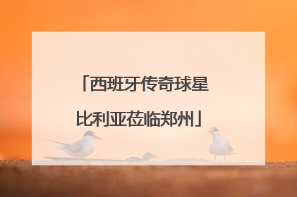 西班牙传奇球星 比利亚莅临郑州