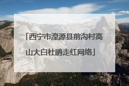 西宁市湟源县前沟村高山大白杜鹃走红网络