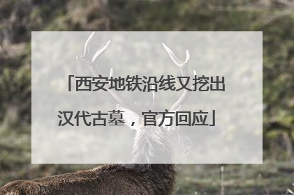 西安地铁沿线又挖出汉代古墓，官方回应