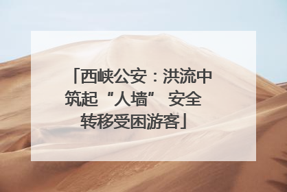 西峡公安：洪流中筑起“人墙” 安全转移受困游客