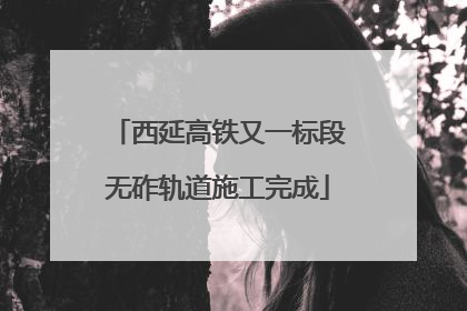西延高铁又一标段无砟轨道施工完成