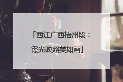 西江广西梧州段：霞光映照美如画