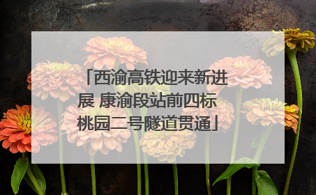 西渝高铁迎来新进展 康渝段站前四标桃园二号隧道贯通