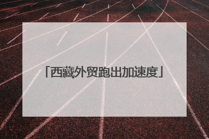 西藏外贸跑出加速度