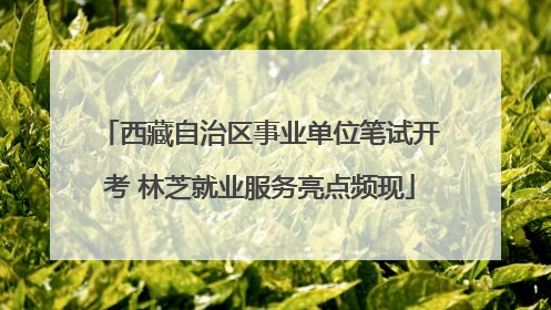 西藏自治区事业单位笔试开考 林芝就业服务亮点频现
