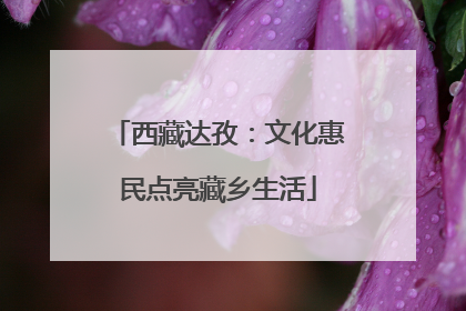 西藏达孜：文化惠民点亮藏乡生活