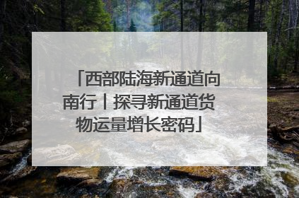 西部陆海新通道向南行丨探寻新通道货物运量增长密码