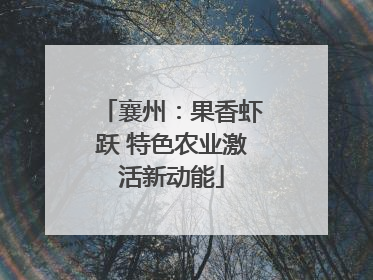 襄州：果香虾跃 特色农业激活新动能