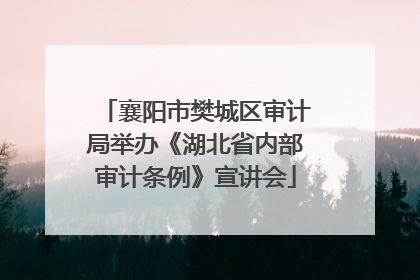 襄阳市樊城区审计局举办《湖北省内部审计条例》宣讲会