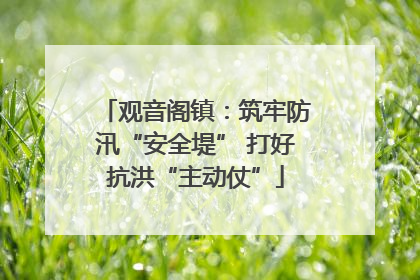观音阁镇：筑牢防汛“安全堤” 打好抗洪“主动仗”
