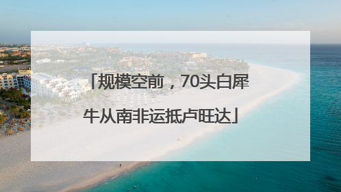 规模空前，70头白犀牛从南非运抵卢旺达