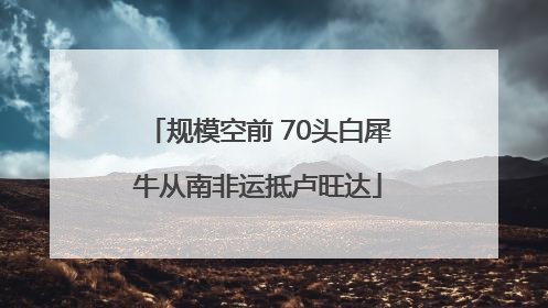 规模空前 70头白犀牛从南非运抵卢旺达