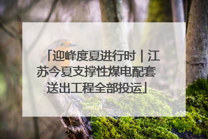 迎峰度夏进行时｜江苏今夏支撑性煤电配套送出工程全部投运