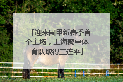 迎来围甲新赛季首个主场，上海聚申体育队取得三连平