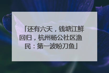 还有六天，钱塘江鲜回归，杭州杨公社区渔民：第一波盼刀鱼