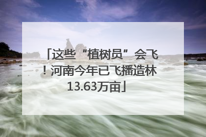 这些“植树员”会飞！河南今年已飞播造林13.63万亩