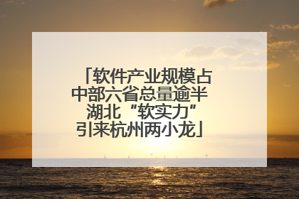 软件产业规模占中部六省总量逾半 湖北“软实力”引来杭州两小龙