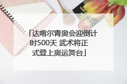 达喀尔青奥会迎倒计时500天 武术将正式登上奥运舞台