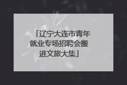 辽宁大连市青年就业专场招聘会搬进文旅大集