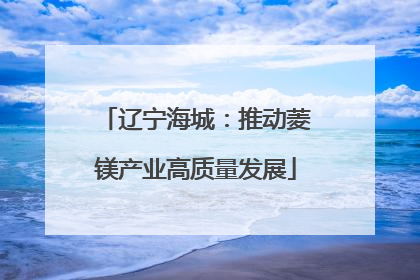 辽宁海城：推动菱镁产业高质量发展
