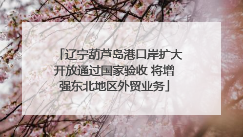 辽宁葫芦岛港口岸扩大开放通过国家验收 将增强东北地区外贸业务