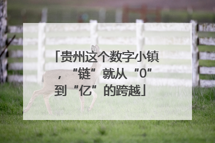 贵州这个数字小镇，“链”就从“0”到“亿”的跨越