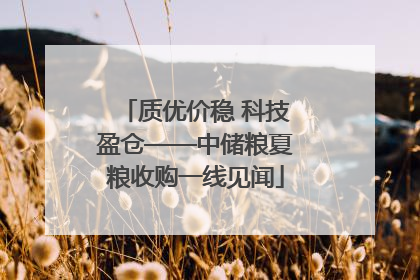 质优价稳 科技盈仓——中储粮夏粮收购一线见闻