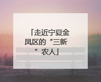 走近宁夏金凤区的“三新”农人