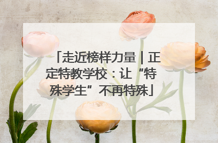 走近榜样力量｜正定特教学校：让“特殊学生”不再特殊