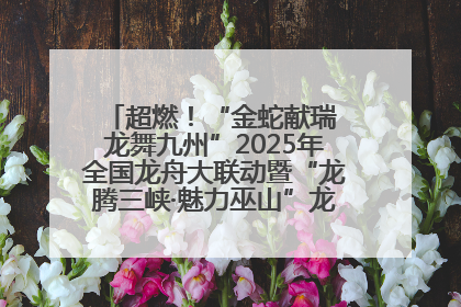 超燃！“金蛇献瑞 龙舞九州”2025年全国龙舟大联动暨“龙腾三峡·魅力巫山”龙舟邀请赛圆满落幕！