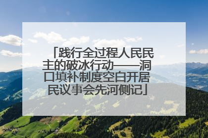 践行全过程人民民主的破冰行动——洞口填补制度空白开居民议事会先河侧记